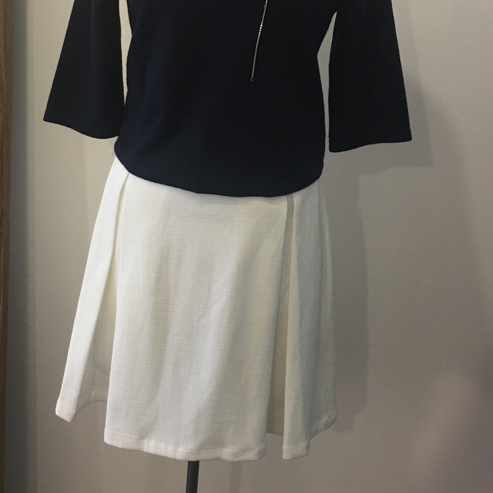 Skirt with pleats and zipper